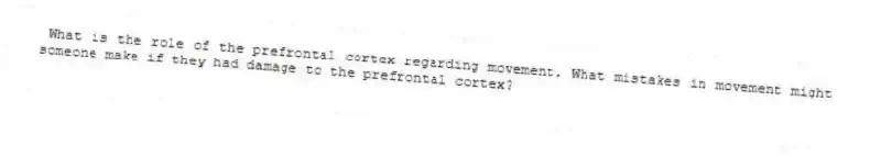 What is the role of the prefrontal cortex regarding movement. What mistakes in movement might someone make if they had damage to the prefrontal cortex?