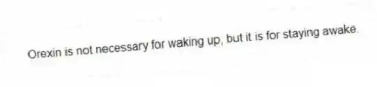Orexin is not necessary for waking up, but it is for staying awake.