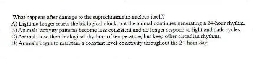 What happens after damage to the suprachiasmatic nucleus itself?
A) Light no longer resets the biological clock, but the animal continues generating a 24-hour rhythm.
B) Animals' activity patterns become less consistent and no longer respond to light and dark cycles.
C) Animals lose their biological rhythms of temperature, but keep other circadian rhythms.
D) Animals begin to maintain a constant level of activity throughout the 24-hour day.