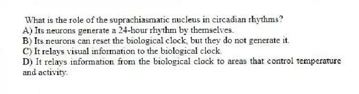 What is the role of the suprachiasmatic nucleus in circadian rhythms?
A) Its neurons generate a 24-hour rhythm by themselves.
B) Its neurons can reset the biological clock, but they do not generate it.
C) It relays visual information to the biological clock.
D) It relays information from the biological clock to areas that control temperature and activity.
