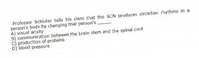 Professor Schluter tells his class that the SCN produces circadian rhythms in a person's body by changing that person's _____.
A) visual acuity
B) communication between the brain stem and the spinal cord
C) production of proteins
D) blood pressure