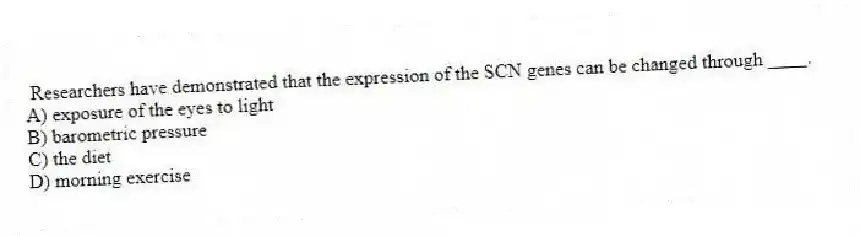 Researchers have demonstrated that the expression of the SCN genes can be changed through ____.
A) exposure of the eyes to light
B) barometric pressure
C) the diet
D) morning exercise