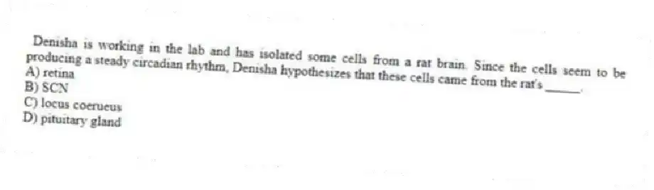 Denisha is working in the lab and has isolated some cells from a rat brain. Since the cells seem to be producing a steady circadian rhythm, Denisha hypothesizes that these cells came from the rat's _____.
A) retina
B) SCN
C) locus coerueus
D) pituitary gland