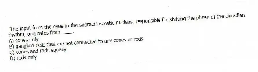 The input from the eyes to the suprachiasmatic nucleus, responsible for shifting the phase of the circadian rhythm, originates from ____.
A) cones only
B) ganglion cells that are not connected to any cones or rods
C) cones and rods equally
D) rods only