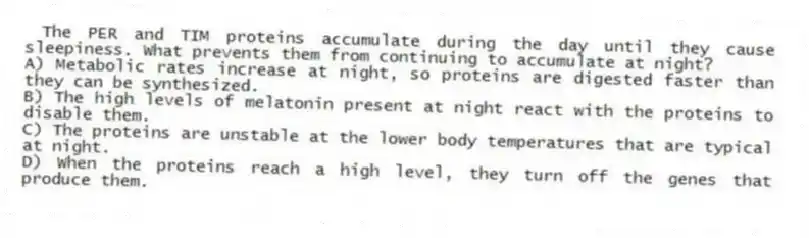 The PER and TIM proteins accumulate during the day until they cause sleepiness. What prevents them from continuing to accumulate at night?
A) Metabolic rates increase at night, so proteins are digested faster than they can be synthesized.
B) The high levels of melatonin present at night react with the proteins to disable them.
C) The proteins are unstable at the lower body temperatures that are typical at night.
D) When the proteins reach a high level, they turn off the genes that produce them.