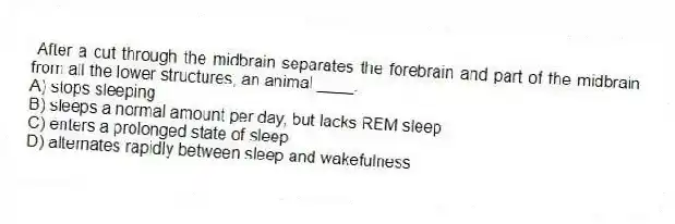 After a cut through the midbrain separates the forebrain and part of the midbrain from all the lower structures, an animal ____.
A) stops sleeping
B) sleeps a normal amount per day, but lacks REM sleep
C) enters a prolonged state of sleep
D) alternates rapidly between sleep and wakefulness