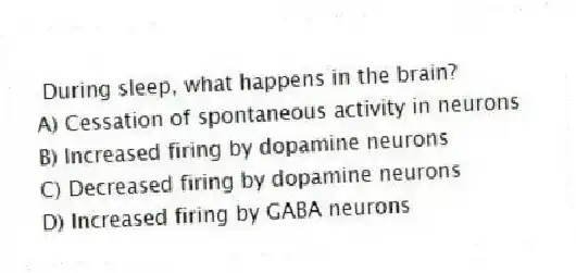 During sleep, what happens in the brain?
A) Cessation of spontaneous activity in neurons
B) Increased firing by dopamine neurons
C) Decreased firing by dopamine neurons
D) Increased firing by GABA neurons