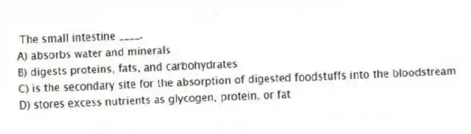 The small intestine ____.
A) absorbs water and minerals
B) digests proteins, fats, and carbohydrates
C) is the secondary site for the absorption of digested foodstuffs into the bloodstream
D) stores excess nutrients as glycogen, protein, or fat