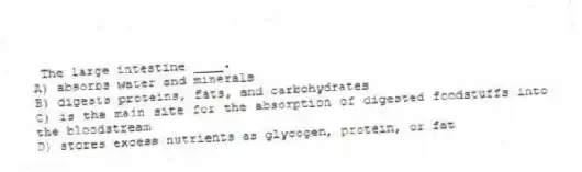 The large intestine ____.
A) absorbs water and minerals
B) digests proteins, fats, and carbohydrates
C) is the main site for the absorption of digested foodstuffs into the bloodstream
D) stores excess nutrients as glycogen, protein, or fat