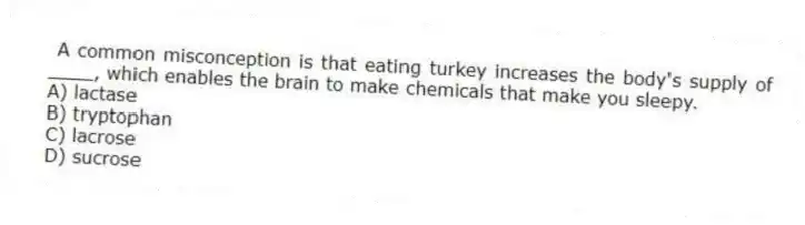 A common misconception is that eating turkey increases the body's supply of ____, which enables the brain to make chemicals that make you sleepy.
A) lactase
B) tryptophan
C) lacrose
D) sucrose