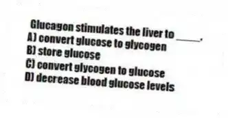 Glucagon stimulates the liver to ____.
A) convert glucose to glycogen
B) store glucose
C) convert glycogen to glucose
D) decrease blood glucose levels