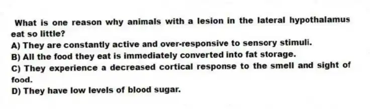 What is one reason why animals with a lesion in the lateral hypothalamus eat so little?
A) They are constantly active and over-responsive to sensory stimuli.
B) All the food they eat is immediately converted into fat storage.
C) They experience a decreased cortical response to the smell and sight of food.
D) They have low levels of blood sugar.