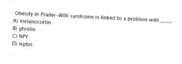 Obesity in Prader-Willi syndrome is linked to a problem with ____.
A) melanocortin
B) ghrelin
C) NPY
D) leptin