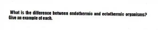 What is the difference between endothermic and ectothermic organisms? Give an example of each.