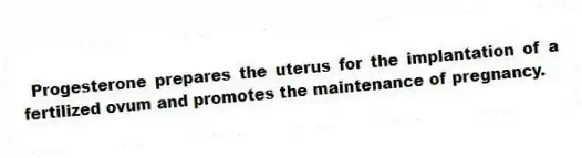 Progesterone prepares the uterus for the implantation of a fertilized ovum and promotes the maintenance of pregnancy.