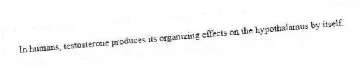 In humans, testosterone produces its organizing effects on the hypothalamus by itself.
