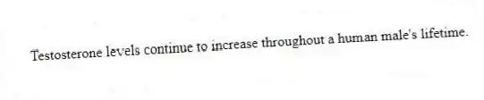 Testosterone levels continue to increase throughout a human male's lifetime.