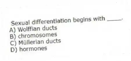 Sexual differentiation begins with ____.
A) Wolffian ducts
B) chromosomes
C) Müllerian ducts
D) hormones
