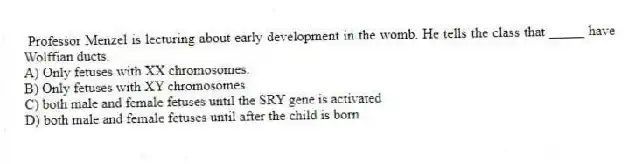 Professor Menzel is lecturing about early development in the womb. He tells the class that _____ have Wolffian ducts.
A) Only fetuses with XX chromosomes.
B) Only fetuses with XY chromosomes
C) both male and female fetuses until the SRY gene is activated
D) both male and female fetuses until after the child is born