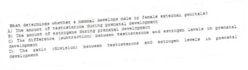 What determines whether a mammal develops male or female external genitals?
A) The amount of testosterone during prenatal development
B) The amount of estrogens during prenatal development
C) The difference (subtraction) between testosterone and estrogen levels in prenatal development
D) The ratio (division) between testosterone and estrogen levels in prenatal development