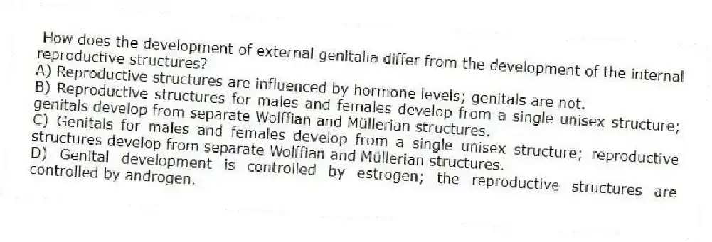 How does the development of external genitalia differ from the development of the internal reproductive structures?
A) Reproductive structures are influenced by hormone levels; genitals are not.
B) Reproductive structures for males and females develop from a single unisex structure; genitals develop from separate Wolffian and Müllerian structures.
C) Genitals for males and females develop from a single unisex structure; reproductive structures develop from separate Wolffian and Müllerian structures.
D) Genital development is controlled by estrogen; the reproductive structures are controlled by androgen.