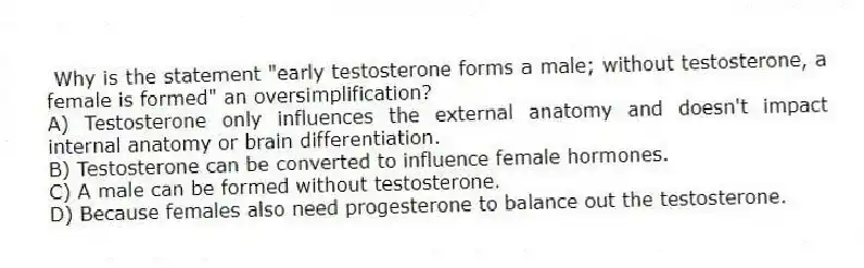 Why is the statement "early testosterone forms a male; without testosterone, a female is formed" an oversimplification?
A) Testosterone only influences the external anatomy and doesn't impact internal anatomy or brain differentiation.
B) Testosterone can be converted to influence female hormones.
C) A male can be formed without testosterone.
D) Because females also need progesterone to balance out the testosterone.