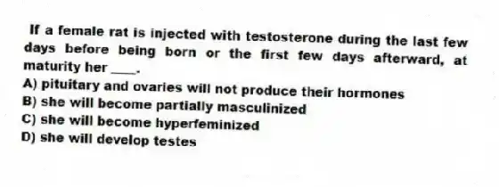 If a female rat is injected with testosterone during the last few days before being born or the first few days afterward, at maturity her ____.
A) pituitary and ovaries will not produce their hormones
B) she will become partially masculinized
C) she will become hyperfeminized
D) she will develop testes