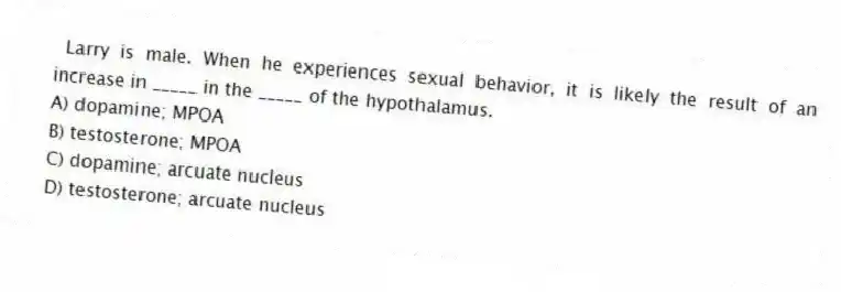 Larry is male. When he experiences sexual behavior, it is likely the result of an increase in _____ in the _____ of the hypothalamus.
A) dopamine; MPOA
B) testosterone; MPOA
C) dopamine; arcuate nucleus
D) testosterone; arcuate nucleus