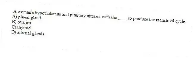 A woman's hypothalamus and pituitary interact with the ____ to produce the menstrual cycle.
A) pineal gland
B) ovaries
C) thyroid
D) adrenal glands