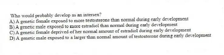 Who would probably develop as an intersex?
A) A genetic female exposed to more testosterone than normal during early development
B) A genetic male exposed to more estradiol than normal during early development
C) A genetic female deprived of her normal amount of estradiol during early development
D) A genetic male exposed to a larger than normal amount of testosterone during early development
