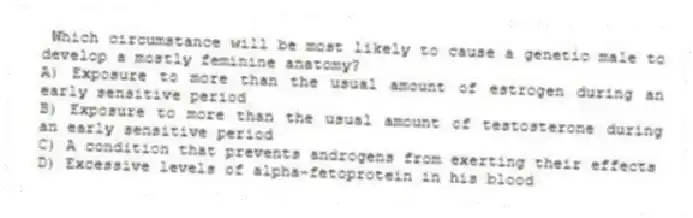 Which circumstance will be most likely to cause a genetic male to develop a mostly feminine anatomy?
A) Exposure to more than the usual amount of estrogen during an early sensitive period
B) Exposure to more than the usual amount of testosterone during an early sensitive period
C) A condition that prevents androgens from exerting their effects
D) Excessive levels of alpha-fetoprotein in his blood