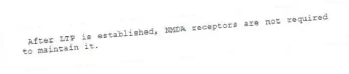 After LTP is established, NMDA receptors are not required to maintain it.
