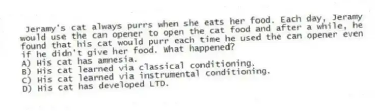 Jeramy's cat always purrs when she eats her food. Each day, Jeramy would use the can opener to open the cat food and after a while, he found that his cat would purr each time he used the can opener even if he didn't give her food. What happened?
A) His cat has amnesia.
B) His cat learned via classical conditioning.
C) His cat learned via instrumental conditioning.
D) His cat has developed LTD.