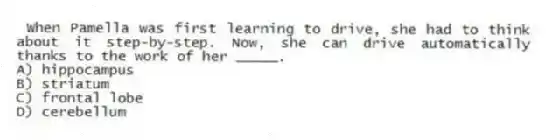 When Pamella was first learning to drive, she had to think about it step-by-step. Now, she can drive automatically thanks to the work of her _____.
A) hippocampus
B) striatum
C) frontal lobe
D) cerebellum