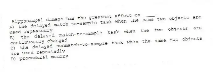  Hippocampal damage has the greatest effect on ____.
A) the delayed match-to-sample task when the same two objects are used repeatedly
B) the delayed match-to-sample task when the two objects are continuously changed
C) the delayed nonmatch-to-sample task when the same two objects are used repeatedly
D) procedural memory