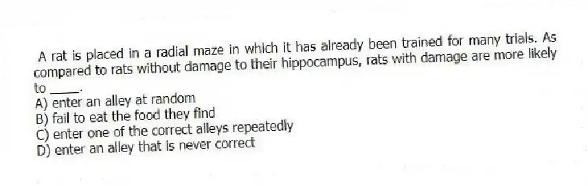 A rat is placed in a radial maze in which it has already been trained for many trials. As compared to rats without damage to their hippocampus, rats with damage are more likely to ____.
A) enter an alley at random
B) fail to eat the food they find
C) enter one of the correct alleys repeatedly
D) enter an alley that is never correct