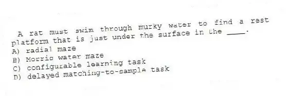 A rat must swim through murky water to find a rest platform that is just under the surface in the ____.
A) radial maze
B) Morris water maze
C) configurable learning task
D) delayed matching-to-sample task