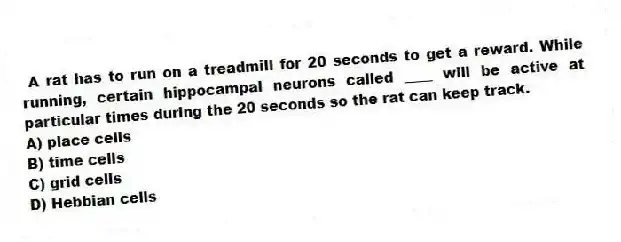 A rat has to run on a treadmill for 20 seconds to get a reward. While running, certain hippocampal neurons called ____ will be active at particular times during the 20 seconds so the rat can keep track.
A) place cells
B) time cells
C) grid cells
D) Hebbian cells