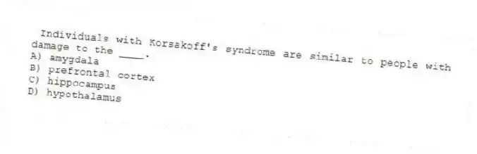 Individuals with Korsakoff's syndrome are similar to people with damage to the ____.
A) amygdala
B) prefrontal cortex
C) hippocampus
D) hypothalamus