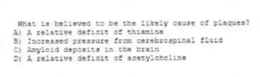  What is believed to be the likely cause of plaques?
A) A relative deficit of thiamine
B) Increased pressure from cerebrospinal fluid
C) Amyloid deposits in the brain
D) A relative deficit of acetylcholine