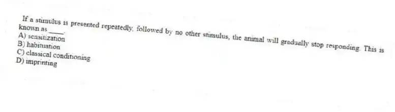 If a stimulus is presented repeatedly, followed by no other stimulus, the animal will gradually stop responding. This is known as ____.
A) sensitization
B) habituation
C) classical conditioning
D) imprinting