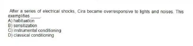 After a series of electrical shocks, Cira became overresponsive to lights and noises. This exemplifies ____.
A) habituation
B) sensitization
C) instrumental conditioning
D) classical conditioning