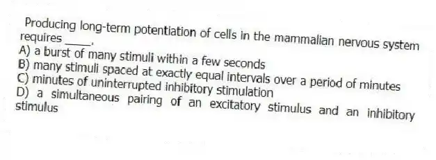 Producing long-term potentiation of cells in the mammalian nervous system requires ____.
A) a burst of many stimuli within a few seconds
B) many stimuli spaced at exactly equal intervals over a period of minutes
C) minutes of uninterrupted inhibitory stimulation
D) a simultaneous pairing of an excitatory stimulus and an inhibitory stimulus