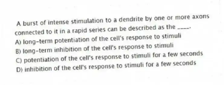 A burst of intense stimulation to a dendrite by one or more axons connected to it in a rapid series can be described as the ____.
A) long-term potentiation of the cell's response to stimuli
B) long-term inhibition of the cell's response to stimuli
C) potentiation of the cell's response to stimuli for a few seconds
D) inhibition of the cell's response to stimuli for a few seconds