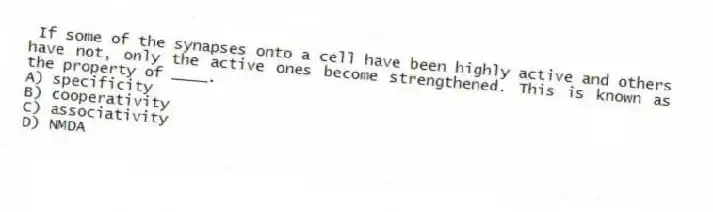 If some of the synapses onto a cell have been highly active and others have not, only the active ones become strengthened. This is known as the property of ____.
A) specificity
B) cooperativity
C) associativity
D) NMDA