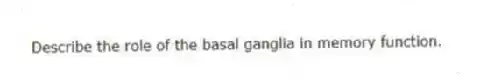 Describe the role of the basal ganglia in memory function.