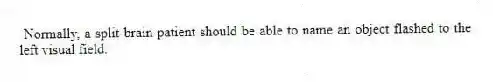 Normally, a split-brain patient should be able to name an object flashed to the left visual field.