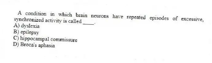 A condition in which brain neurons have repeated episodes of excessive, synchronized activity is called ____.
A) dyslexia
B) epilepsy
C) hippocampal commissure
D) Broca's aphasia