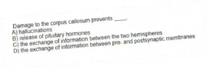  Damage to the corpus callosum prevents ____.
A) hallucinations
B) release of pituitary hormones
C) the exchange of information between the two hemispheres
D) the exchange of information between pre- and postsynaptic membranes