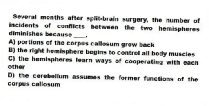 Several months after split-brain surgery, the number of incidents of conflicts between the two hemispheres diminishes because ____.
A) portions of the corpus callosum grow back
B) the right hemisphere begins to control all body muscles
C) the hemispheres learn ways of cooperating with each other
D) the cerebellum assumes the former functions of the corpus callosum